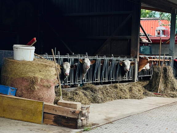 22-09-10 17-30-41 1957